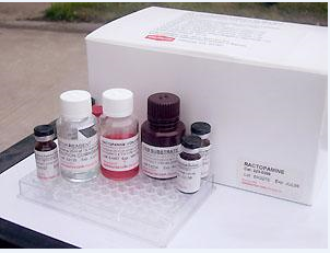 牛載脂蛋白B100(APOB100)ELISA檢測試劑盒主圖