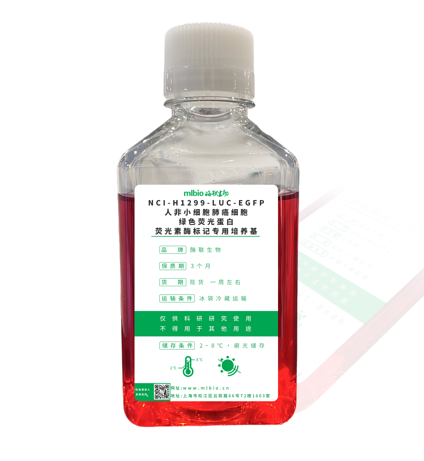 NCI-H1299-LUC-EGFP人非小細胞肺癌細胞-綠色熒光蛋白-熒光素酶標記專用培養基主圖