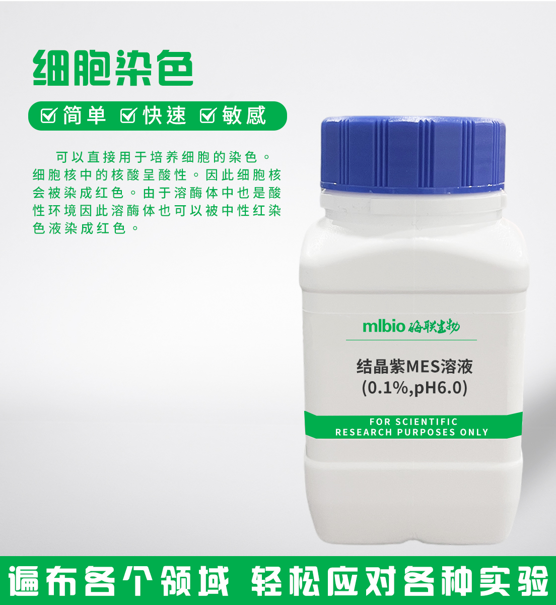 結晶紫MES溶液(0.1%,pH6.0)主圖