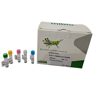 腺病毒D型探針?lè)╭PCR試劑盒(不含內(nèi)參)主圖