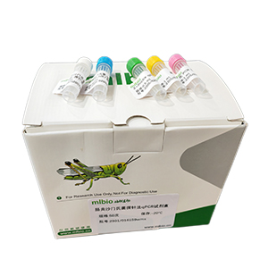 肺炎克雷伯菌肺炎亞種探針法qPCR試劑盒(不含內參)主圖