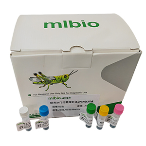 探針?lè)╭PCR試劑盒（不含內(nèi)參）主圖