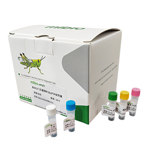 志賀氏菌屬通用探針法qPCR試劑盒(不含內(nèi)參)主圖