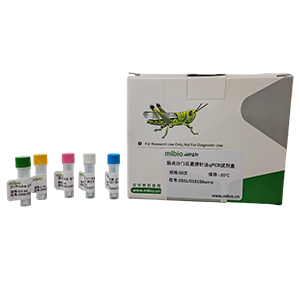 人腺病毒D56型探針法qPCR試劑盒(不含內(nèi)參)主圖