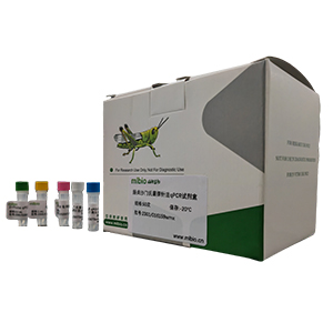 HIV-2前病毒探針法qPCR試劑盒(不含內參)主圖