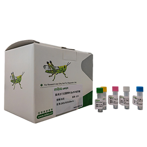 鼻氣管炎鳥桿菌探針法qPCR試劑盒(不含內(nèi)參)主圖